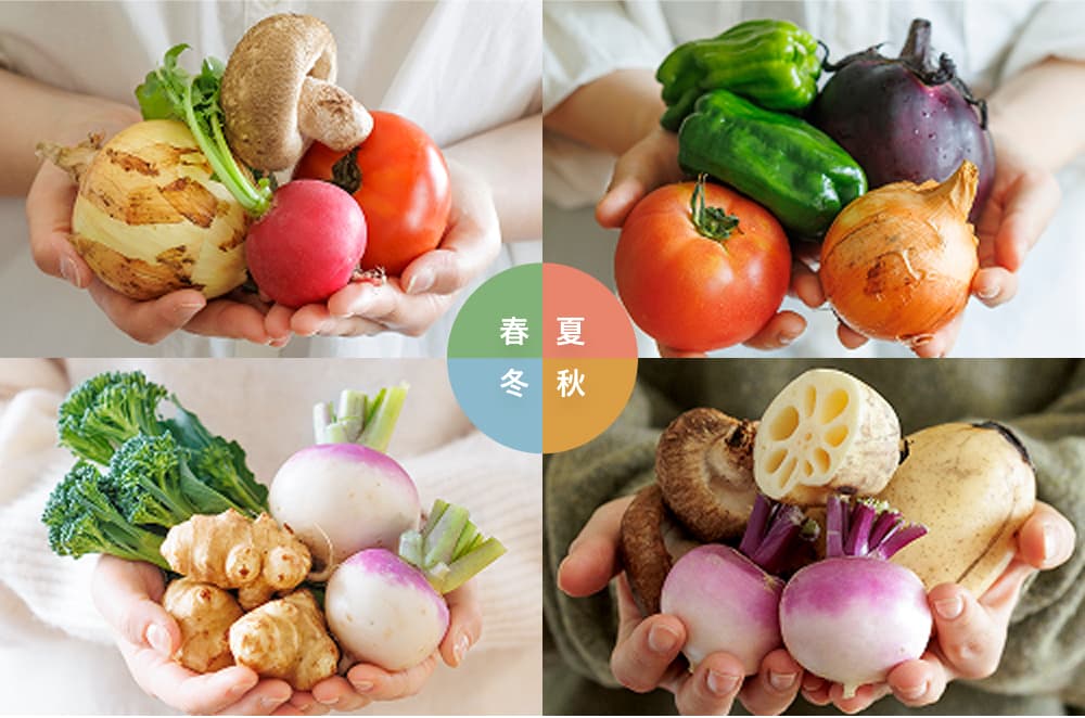 春夏秋冬の移ろいを感じられるお野菜