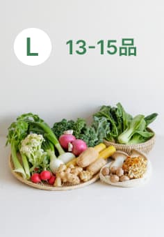 Lサイズ