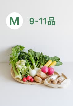 Mサイズ