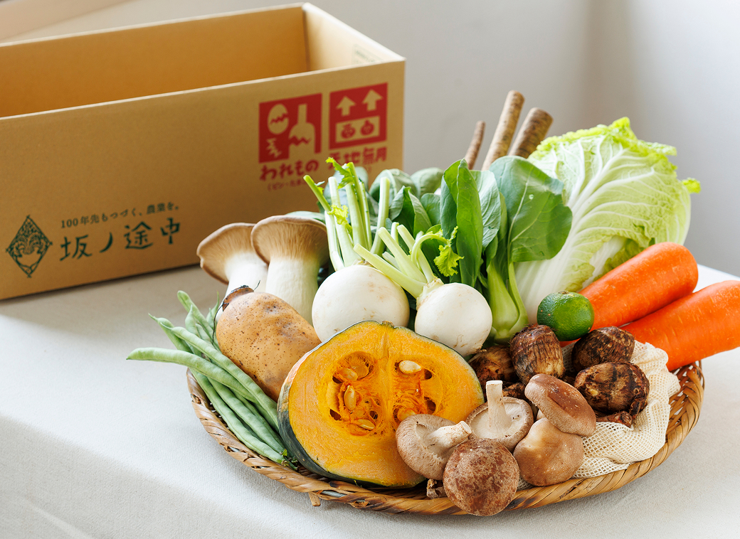きほんのお野菜セット