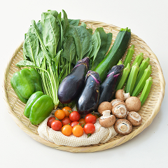きほんのお野菜セット Sサイズ