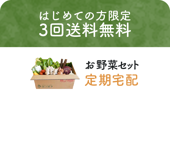 はじめての方限定 3回送料無料　お野菜セット定期宅配 2,430円〜