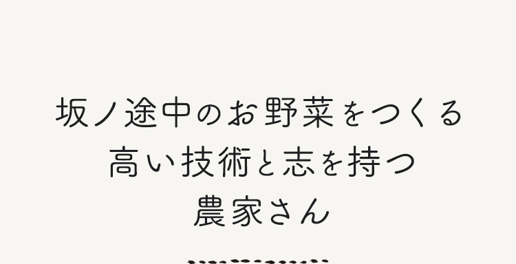 坂ノ途中のお野菜をつくる高い技術と志を持つ農家さん