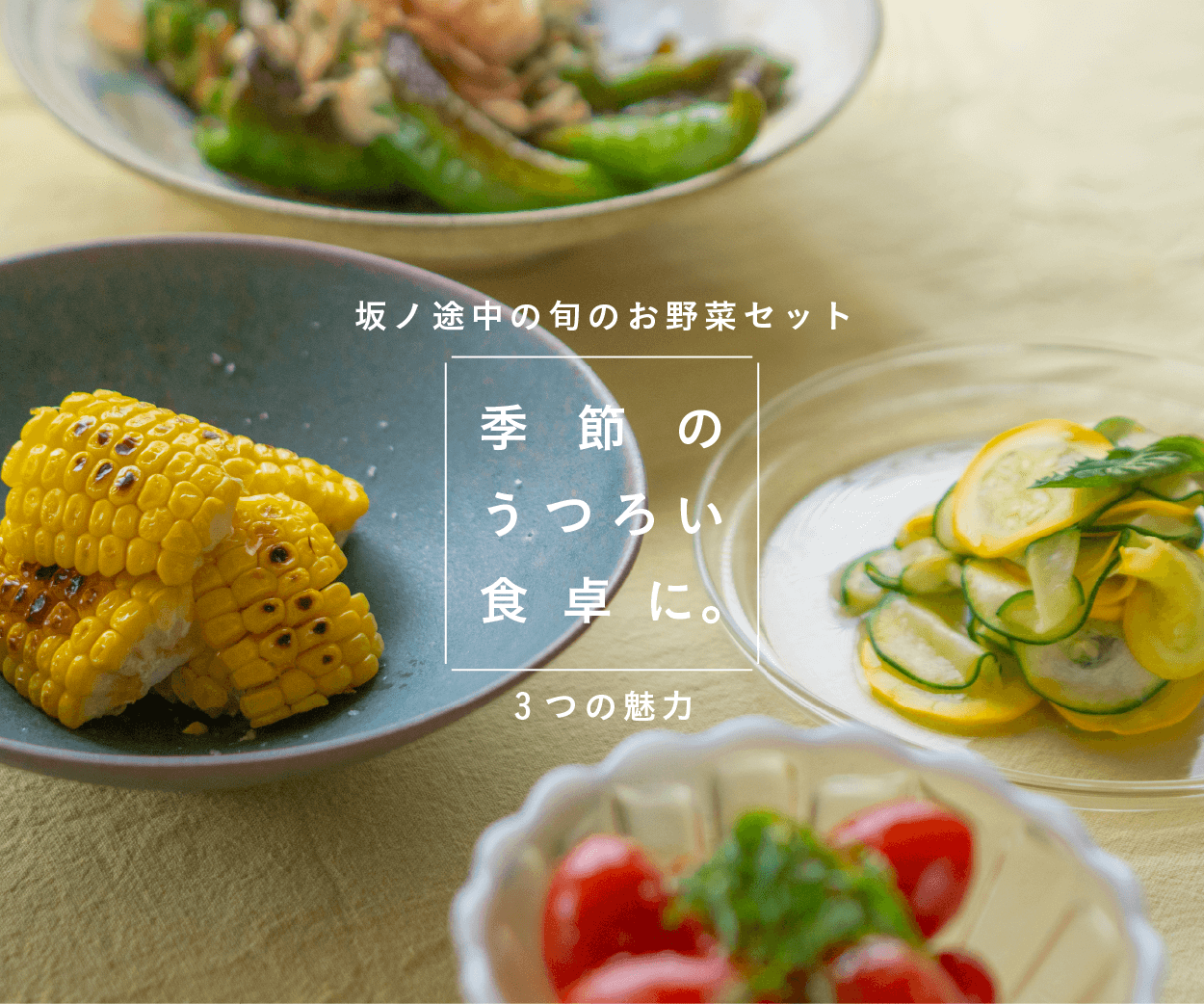 季節のうつろいを食卓に。坂ノ途中の定期便をつづける3つの理由